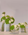 Flora - Set of 3