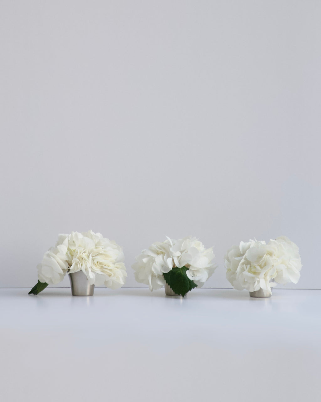 Polo - mini blooms set of 3