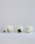 Polo - mini blooms set of 3