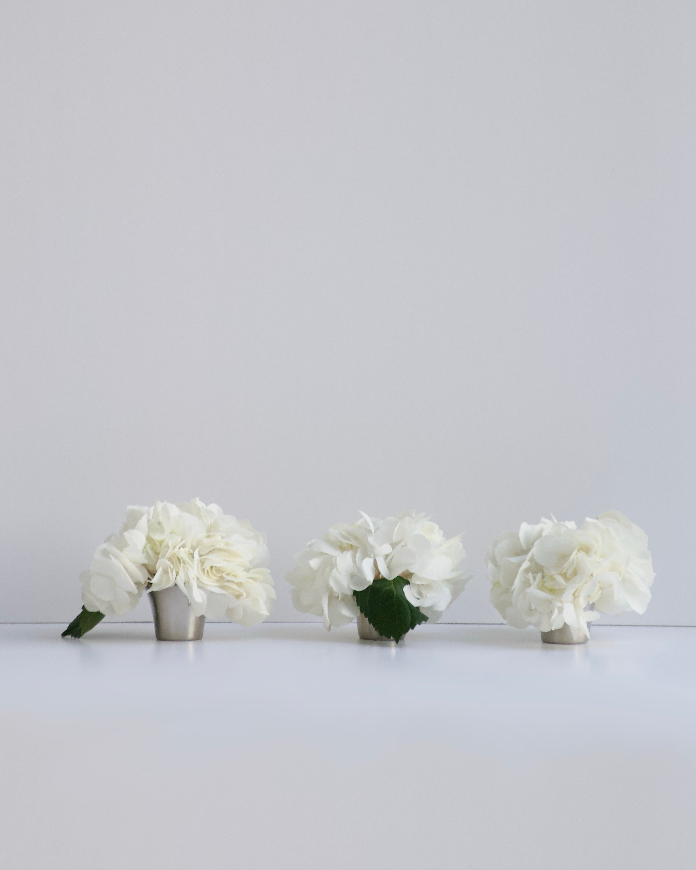 Polo - mini blooms set of 3